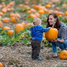 The essence of exceptional living woman handing a pumpkin to a child
